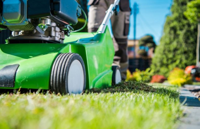 Fall Lawn Care Tips For Your Yard