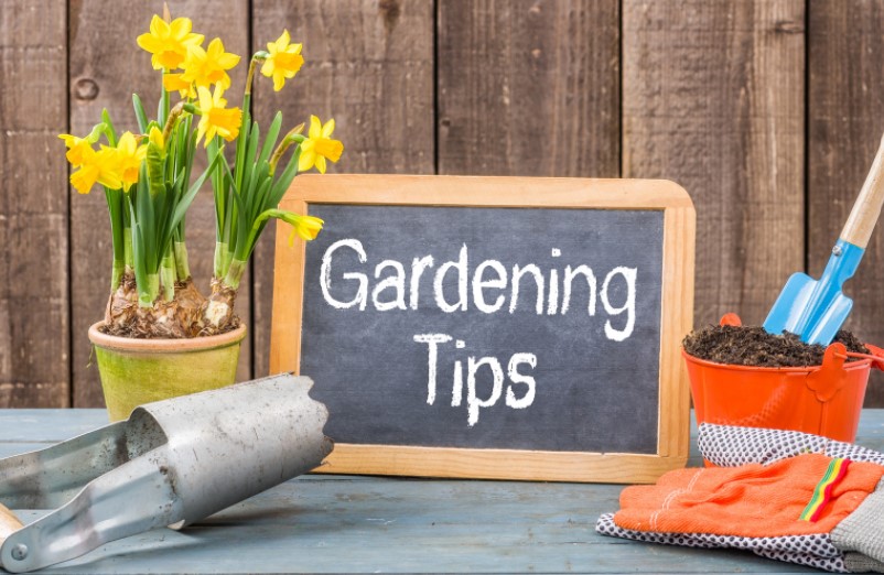 Gardening-Tips