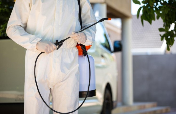 Top 5 Factors to Consider When Picking Pest Control Professionals