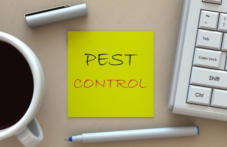 5 Warning Signs You Need to Call Pest Control Immediately