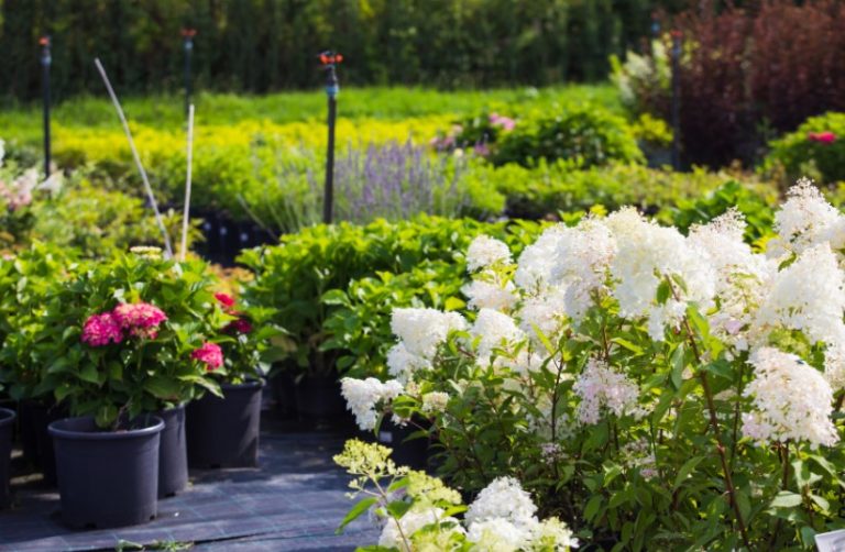 6 Specific Uses of Aggregates When it Comes to Transforming the Look of Your Garden Space