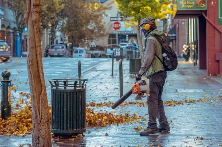 Backpack vs. Handheld Leaf Blower: Which Is Better?