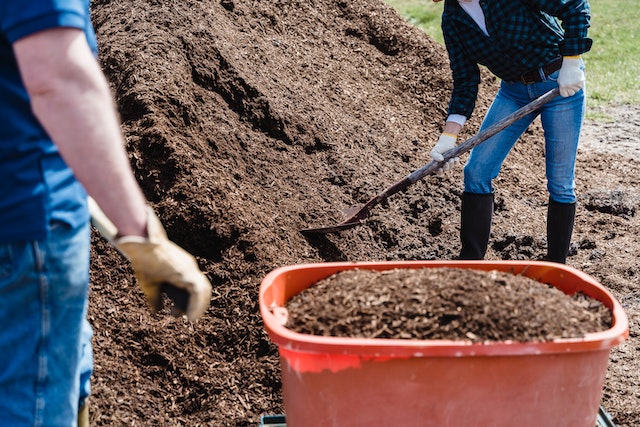 How to Prepare Garden Soil?