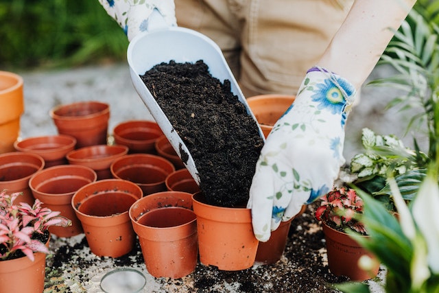 Preparing-Your-Buckets-for-Gardening