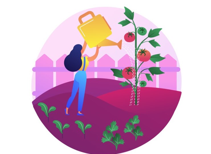 Fertilizing-for-Growth