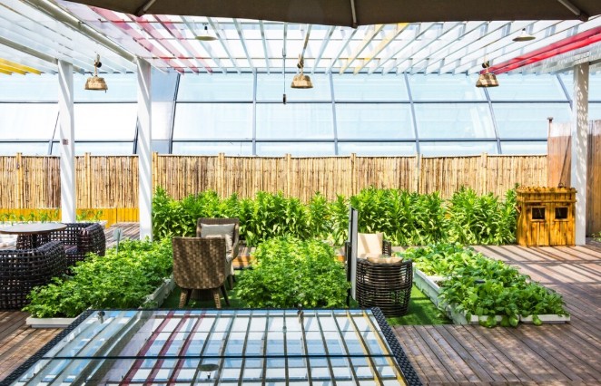 City Rooftop and Terrace Gardens
