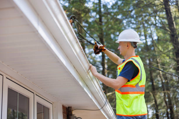 Gutter-Maintenance